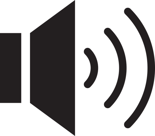 loudspeaker on button