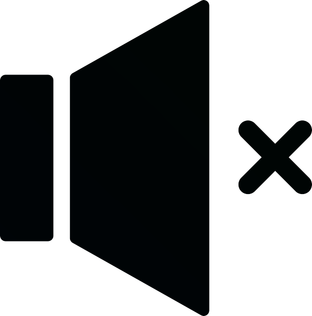 loudspeaker off button